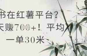 抄书在小红薯平台？平均一单30米，一天收益几张！-麦资源网