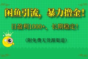 （14647期）闲鱼引流，暴力撸金，日盈利1000+，长期稳定！（附免费无货源渠道）-麦资源网