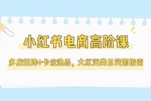 （14940期）小红书电商高阶课，多店矩阵+卡位选品，大红海类目突围指南（更新5月）-麦资源网