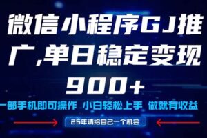 （14854期）25年爆火小程序挂机推广玩法教学，小白宝妈轻松上手，单日稳定变现900+-麦资源网