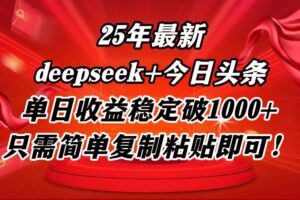 （14672期）25年最新dp+今日头条玩法，单日收益稳定破1000+，只需简单复制粘贴即可！-麦资源网