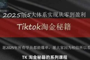 TikTok跨境2025淘金秘籍，​2025TikTok从0到盈利变现-麦资源网