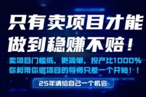 只有卖项目才能做到稳挣不赔,门槛低,更简单,你也可以年入百个W【揭秘】-麦资源网
