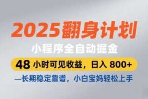 2025翻身计划，小程序全自动掘金，48小时可见收益，日入8张+，长期稳定靠谱，小白宝妈轻松上手【揭秘】-麦资源网