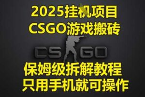 2025挂G项目，CSGO游戏搬砖，保姆级拆解教程，只用手机就可操作【揭秘】-麦资源网