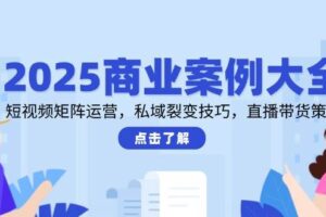 2025商业案例大全，短视频矩阵运营，私域裂变技巧，直播带货策略-麦资源网
