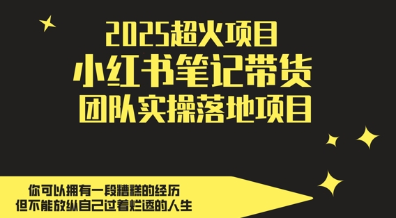 2025超火项目，副业*选择，小红书笔记带货团队实操落地项目，，轻松日入5张