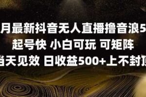 2025五月最新无人直播撸音浪单日产出5张+实操教程【揭秘】-麦资源网