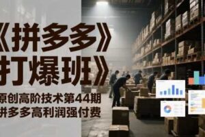 《拼多多打爆班》原创高阶技术第44期，拼多多高利润强付费-麦资源网