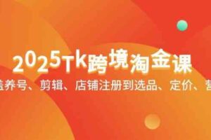 2025Tk跨境淘金课：涵盖养号、剪辑、店铺注册到选品、定价、营销等-麦资源网