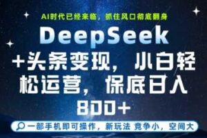 DeepSeek+头条变现，保姆级教学，小白轻松上手，日入8张+【揭秘】-麦资源网