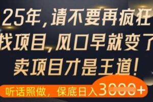 什么？25年你还在疯狂找项目做，醒醒吧，看完这些你全都懂了【揭秘】-麦资源网