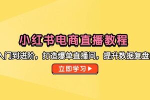 （14873期）小红书电商直播教程，从入门到进阶，打造爆单直播间，提升数据复盘能力-麦资源网