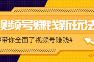 视频号短视频带货新玩法，用这个方法，一天佣金4407（附详细教程）-麦资源网