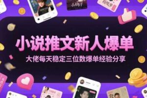 小说推文新人爆单大佬每天稳定三位数爆单经验分享-麦资源网