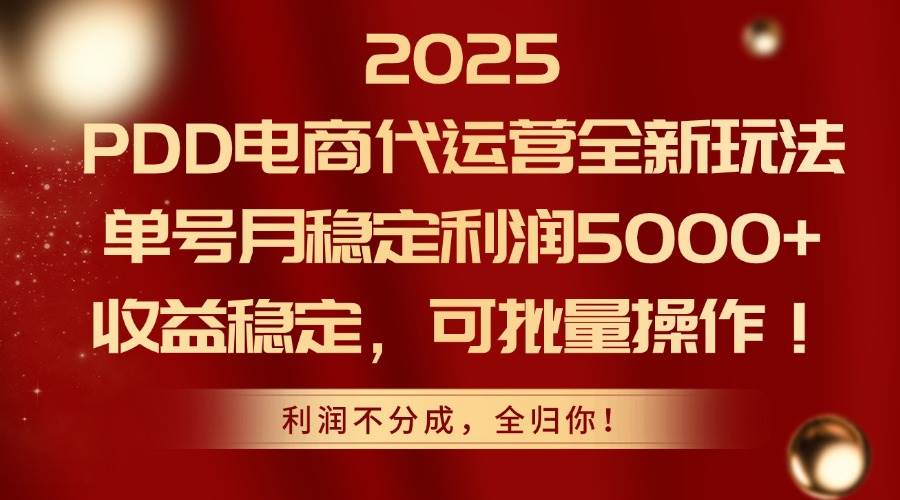 图片[1]-（14839期）2025PDD电商代运营全新玩法，单号月稳定利润5000+，收益稳定，可批量操作