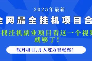 （14804期）2025最全挂机项目合集 找项目看这一个视频就够了，做对项目月入过万很…-麦资源网