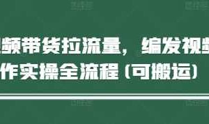 短视频带货拉流量，编发视频制作实操全流程(可搬运)-麦资源网