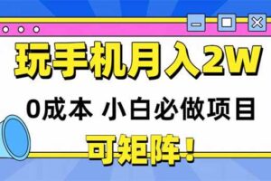 （14879期）玩玩手机月入20000+，0成本小白必做项目，可矩阵-麦资源网