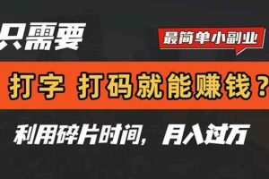 （14673期）只需要打字，打码，就能赚钱？简单的赚钱小副业，利用碎片时间，月入过万-麦资源网