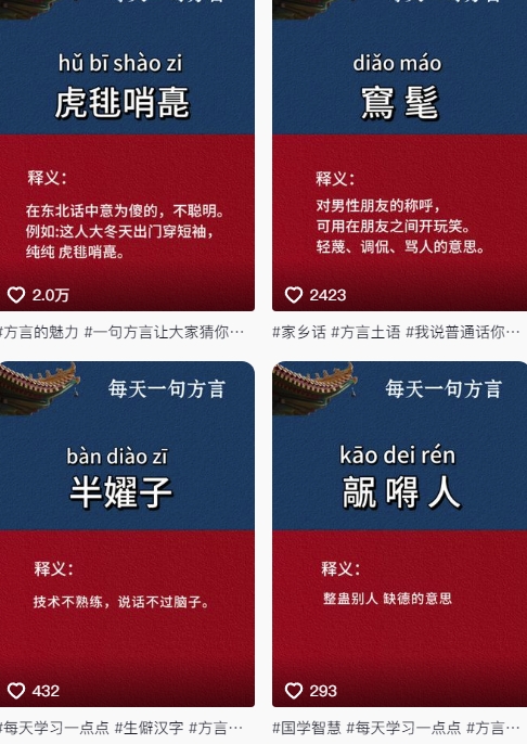 抖音*涨粉玩法，图文方言*涨粉实操，126作品涨粉11W