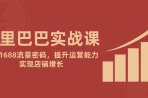 （14830期）阿里巴巴实战课：掌握1688流量密码，提升运营能力，实现店铺增长-麦资源网