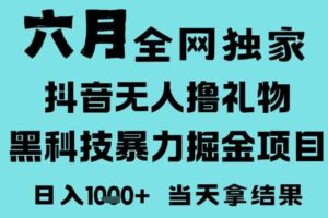 25年6月高爆抖音无人直播最新撸音浪掘金项目，门槛低小白可做，无脑日入1k，可矩阵放大【揭秘】-麦资源网