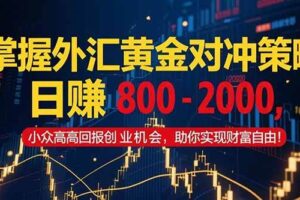 （15198期）掌握外汇黄金对冲策略，日赚 800 – 2000，小众高回报创业机会，助你实…-麦资源网