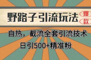 2024首发野路子引流玩法截流自热全平台打法，全自动引流【日引2000+精准客户】-麦资源网