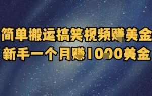 简单搬运搞笑视频挣美金,新手一个月入1k美金-麦资源网