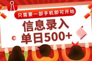（15002期）信息录入兼职2.0，几秒一单，打字+推广双模式，只需一部手机，随时随地…-麦资源网
