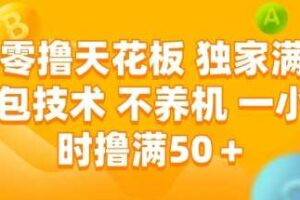 零撸天花板，独家满包技术 不养机 一小时撸满50+【揭秘】-麦资源网