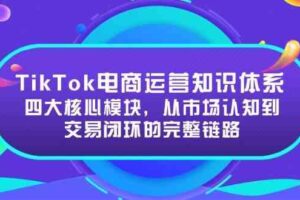 TikTok电商运营知识体系：四大核心模块，从市场认知到交易闭环的完整链路-麦资源网