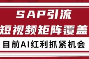 小红书某音sap赛道引流获客 自热矩阵日引200+【揭秘】-麦资源网
