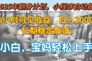 （15082期）2025年翻身计划，小程序自动掘金48小时可见收益，日入2000+，长期稳定…-麦资源网