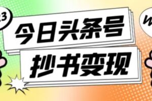 书冷门项目，操作简单，单号一天100+，有人一个月变现1w+！（软件+教程+玩法）-麦资源网