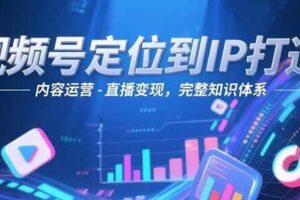 视频号定位到IP打造：账号搭建-内容运营-直播变现，完整知识体系-麦资源网