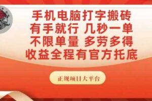 手机电脑打字搬砖，副业可发展主业来做蓝海项目，有手就行，几秒一单，不限单量，多劳多得【揭秘】-麦资源网