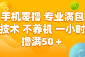 （15059期）手机零撸 专业满包技术 不养机 一小时撸满50+-麦资源网