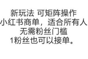 可矩阵操作，小红书商单新玩法，适合所有人，无需粉丝门槛，1粉丝也可以接单-麦资源网