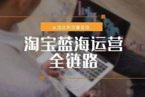 （15160期）淘宝蓝海运营全链路，从选品到流量变现，小类目突围完整方案-麦资源网