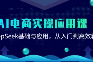 （15075期）AI电商实操应用课：DeepSeek基础与应用，从入门到高效输出-麦资源网