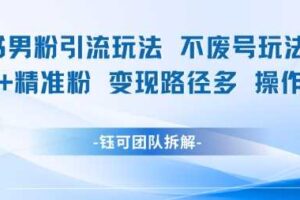 小红书男粉引流玩法不废号玩法日引100男粉变现路径多操作简单-麦资源网