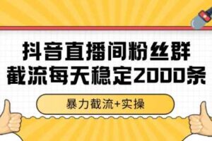 抖音直播间粉丝群暴力截流，一台电脑每天稳定2000条数据【揭秘】-麦资源网