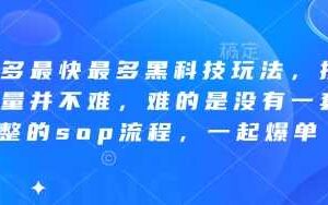 拼多多最快最多黑科技玩法，拼多多起量并不难，难的是没有一套完整的sop流程，一起爆单（更新6月）-麦资源网