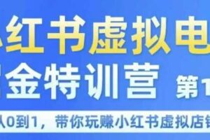 小红书虚拟电商掘金特训营第1期，从0到1，带你玩转小红书虚拟店铺-麦资源网