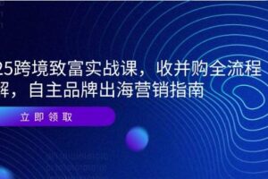 （14975期）2025跨境致富实战课，收并购全流程拆解，自主品牌出海营销指南-麦资源网