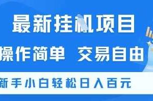 最新挂G项目，操作简单，交易自由，新手小白轻松日入100+【揭秘】-麦资源网