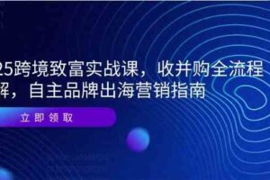 2025跨境致富实战课，收并购全流程拆解，自主品牌出海营销指南-麦资源网