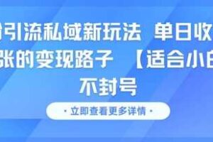 男粉引流私域新玩法，单日收益达10张的变现路子 【适合小白】不封号-麦资源网